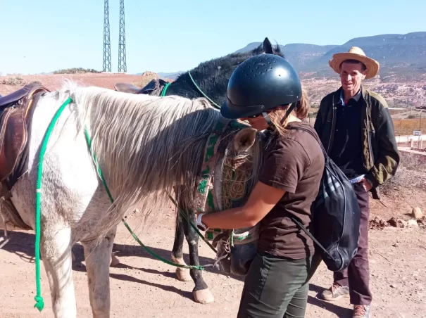 horseback riding in marrakech